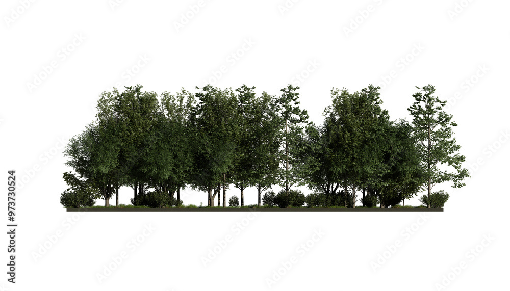 Fototapeta premium forest various tree, grass and plant, flat ground, isolated transparent background