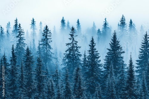 A Foggy Forest With Snow-Covered Trees