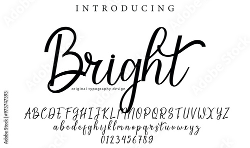 Bright Font Stylish brush painted an uppercase vector letters, alphabet, typeface