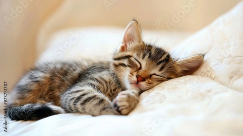 Soft and Cozy Feline Resting on Bed in Peaceful Slumber