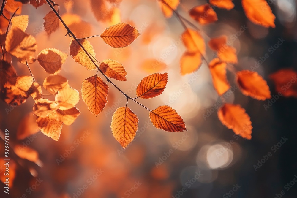 Orange fall leaves in park, autumn natural background , ai