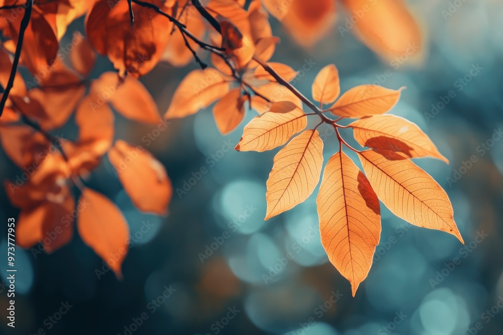 Orange fall leaves in park, autumn natural background , ai Orange fall leaves in park, autumn natural background , ai