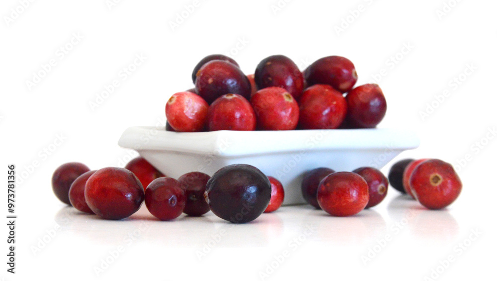 Cranberry isolated on white background Cranberry isolated on white background