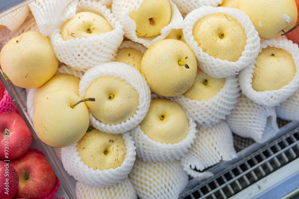 Fresh Yellow Pears in Protective Netting Fresh Yellow Pears in Protective Netting