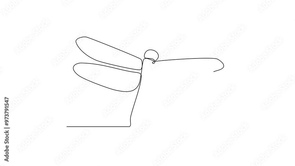 One continuous line drawing of
insect video illustration. Animal insect themes design concept in simple linear style. Sensory organs used for touch, smell, and sometimes taste. good for education. One continuous line drawing of
insect video illustration. Animal insect themes design concept in simple linear style. Sensory organs used for touch, smell, and sometimes taste. good for education.