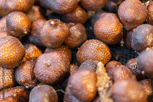 Close-up of Snake Fruit (Salk) photo