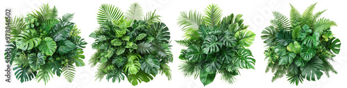 Lush green tropical plants bush floral arrangement isolated on a transparent background.PNG