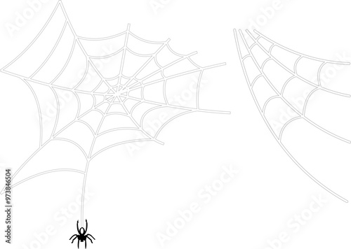 Halloween Spider Web