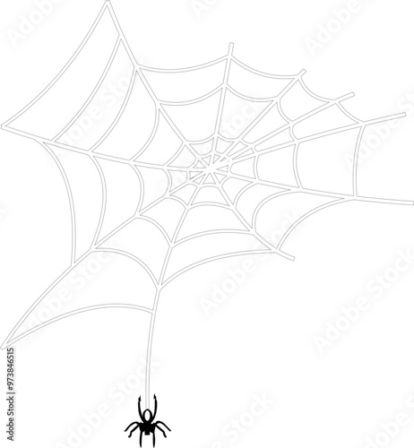 Halloween Spider Web