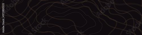Topographic map patterns, topography line map linkedin banner