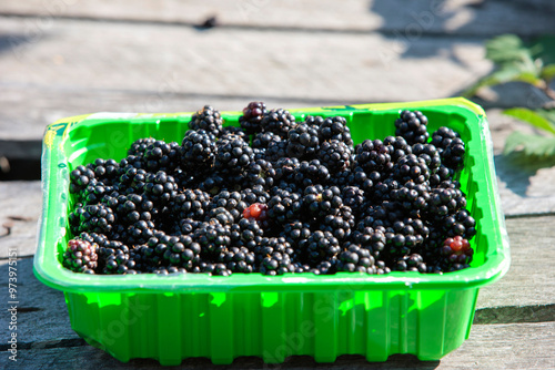 blackberry in a container