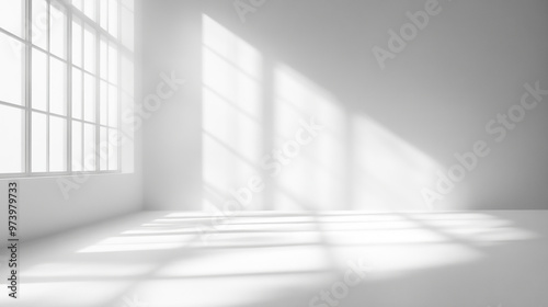 Empty white room with window and sunlight
