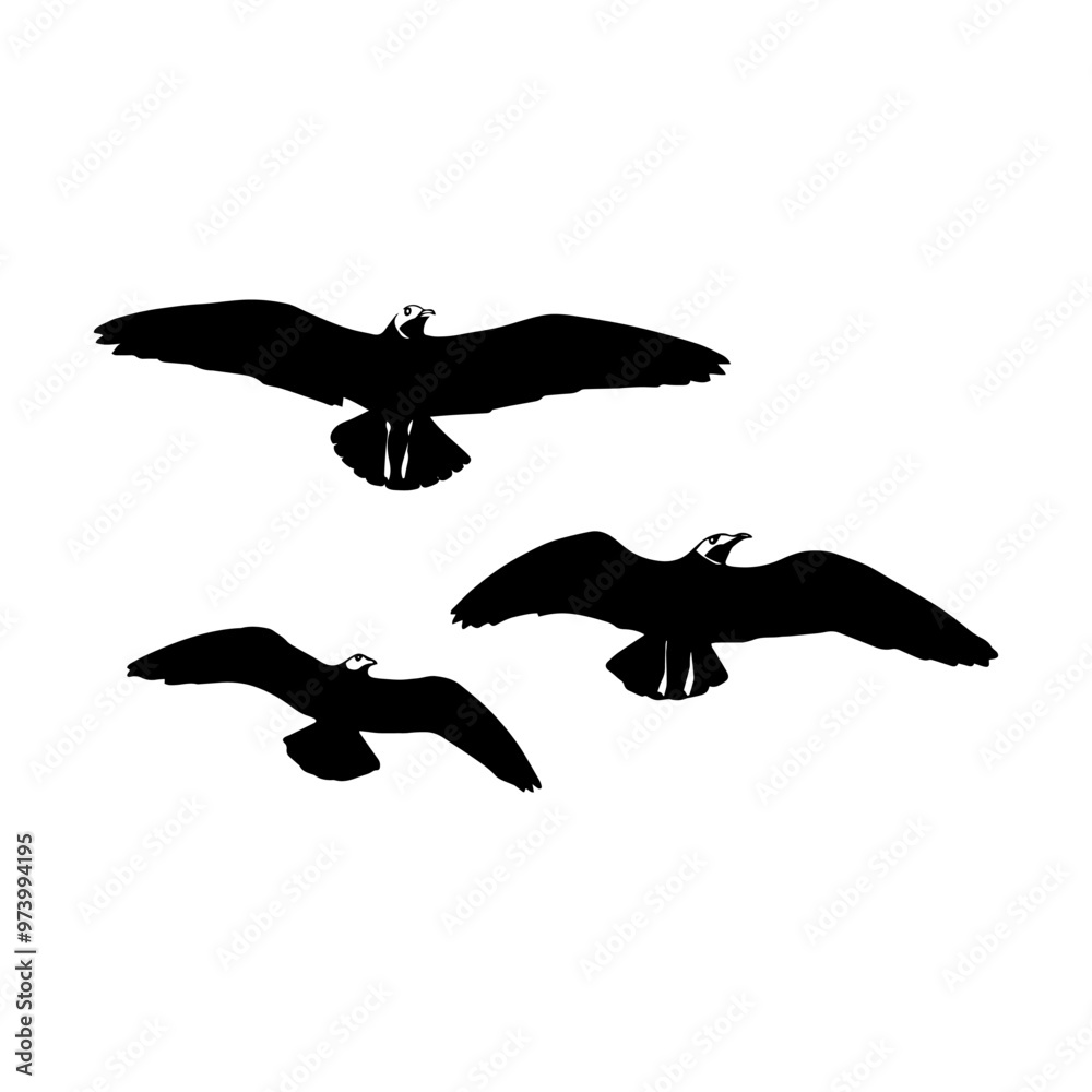 many Flying Birds isolated on white background many Flying Birds isolated on white background