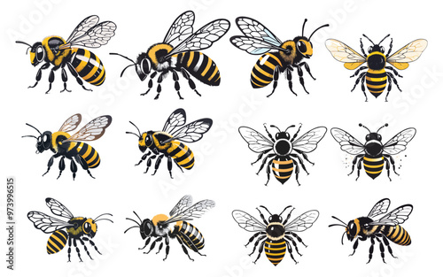 Cute Bee Silhouettee Vector Illustration Design,very detaited graphics photo