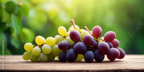 Fresh cluster of grapes on wooden plank near green foliage. photo