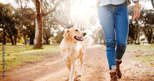 Canvas Print Legs, woman and dog in park for walk, outdoor adventure or morning exercise together on path