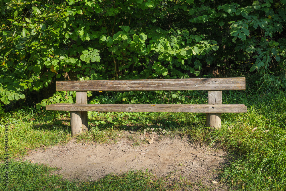 Bench in the forest with beautiful nature in the national park Gauja, Latvia. 