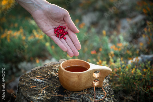 Bilde på lerret human hand puts fresh lingonberries in a wooden mug of tea in forest
