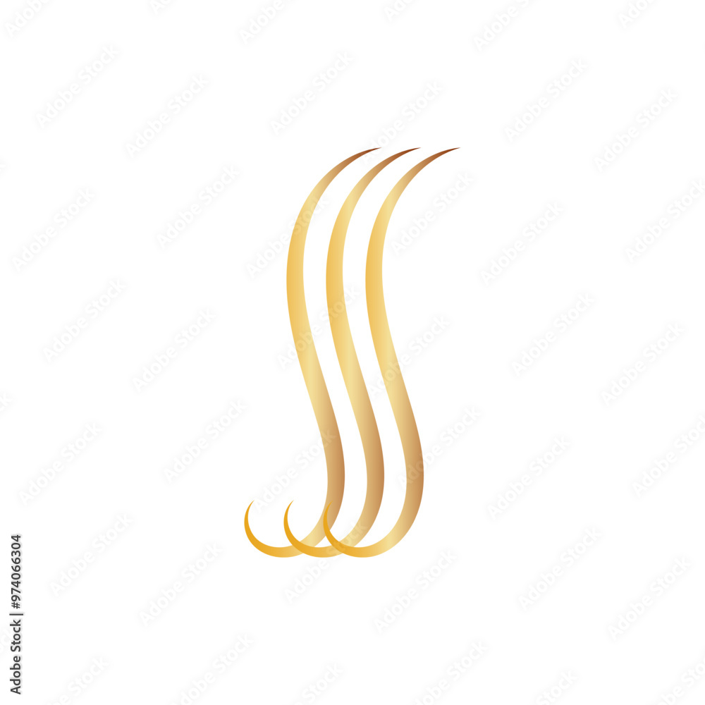 Fototapeta premium Hair line logo and symbol
