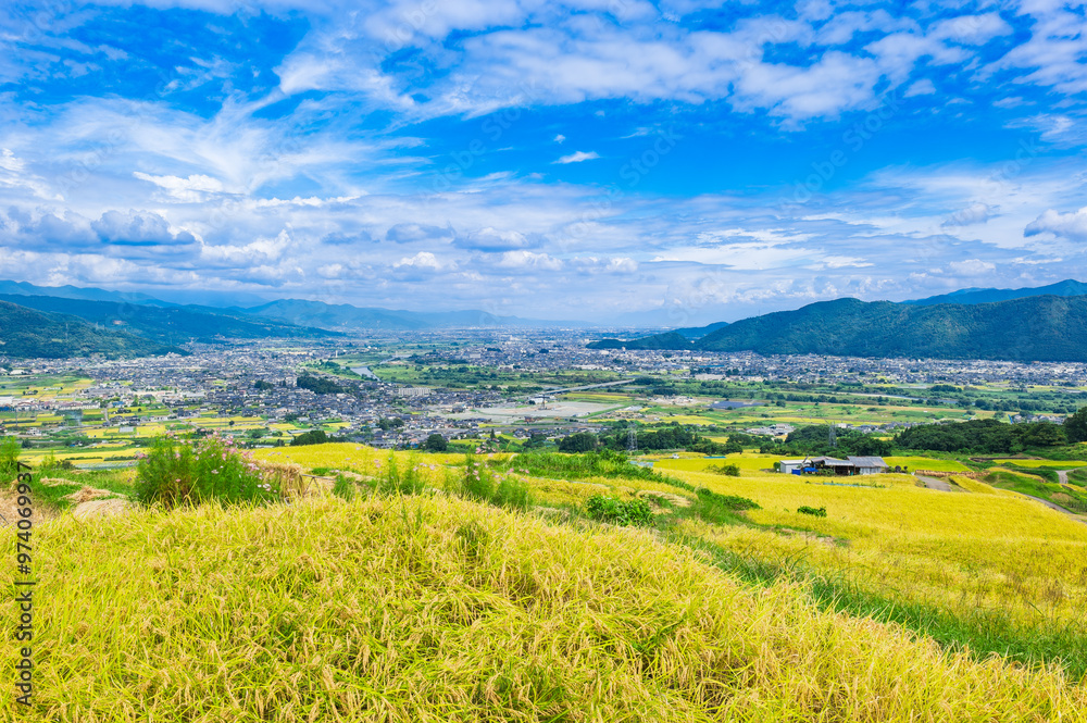 Fototapeta premium 秋の信州 姨捨の棚田と千曲市