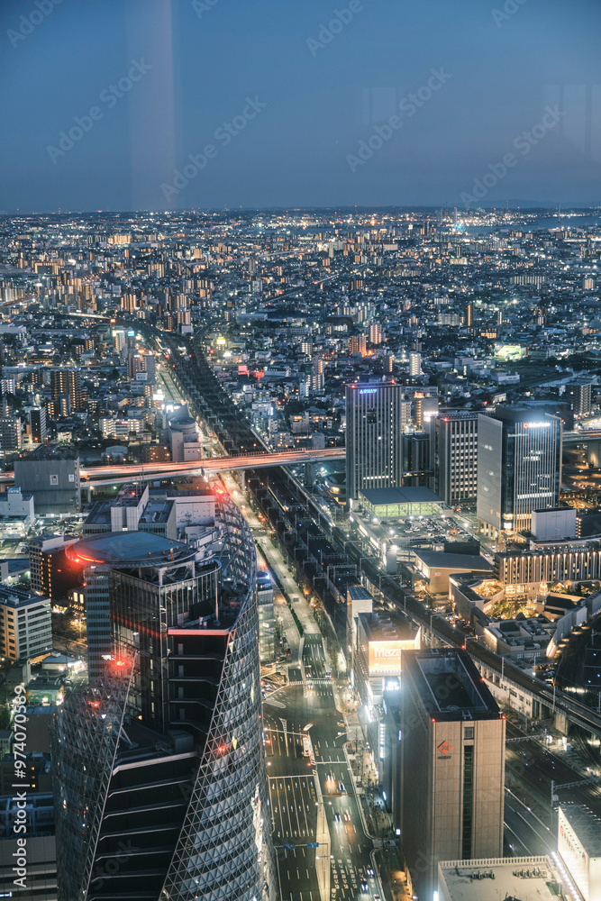 Obraz premium 名古屋の夜景