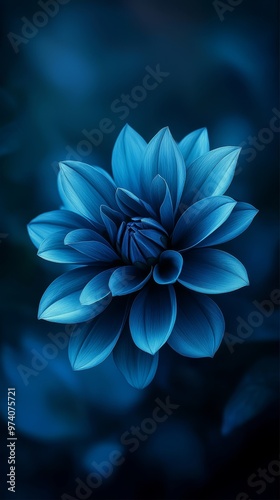  A blue flower against a black backdrop, featuring a soft, out-of-focus bloom at its center