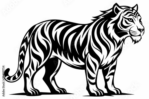 tiger illustration