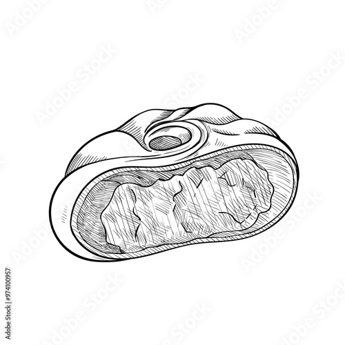 Gyoza, khinkali, manti, buuz, traditional dishes made of dough and meat sketch