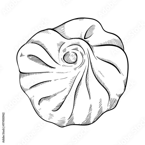 Gyoza, khinkali, manti, buuz, traditional dishes made of dough and meat sketch
