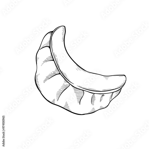 Gyoza, khinkali, manti, buuz, traditional dishes made of dough and meat sketch