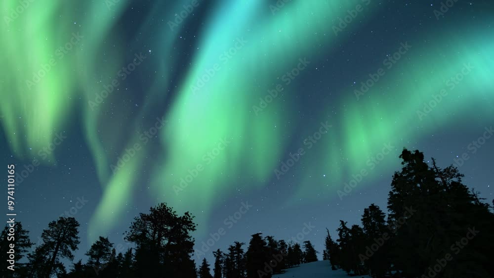 Aurora Green In Starry Sky Above Snow Covered Alpine Forest 02 Loop
