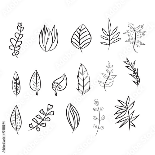 Set A collection of hand-drawn botanical leaf designs, featuring various shapes and patterns, arranged in rows. Each leaf has a unique line art style, giving a minimalist aesthet photo