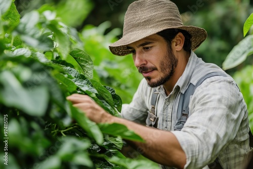 A farmer carefully inspects coffee plants in a lush green field, showcasing dedication and passion for agricultural work.