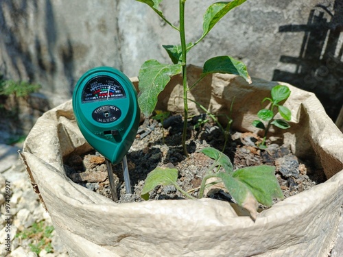 Soil pH meter photo