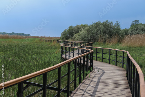 Eco path wooden walkway in Lukomorie, ecological trail path - route walkways laid in the forest, in St. Petersburg, Russia.