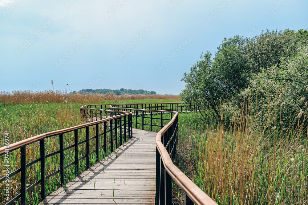 Eco path wooden walkway in Lukomorie, ecological trail path - route walkways laid in the forest, in St. Petersburg, Russia. Eco path wooden walkway in Lukomorie, ecological trail path - route walkways laid in the forest, in St. Petersburg, Russia.
