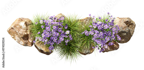 Aerial view violet flowery with rocks environmental on transparent backgrounds 3d render png