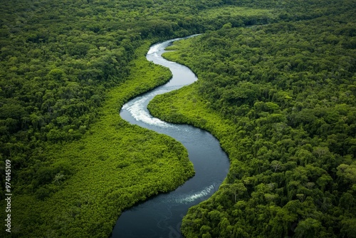 An aerial view of lush, dense rainforest with streams flowing through the landscape. 