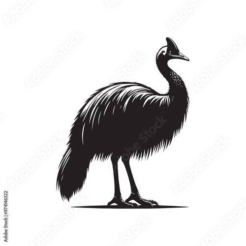 Creative cassowary silhouette for digital and print projects - Cassowary illustration - minimallest cassowary vector
 photo