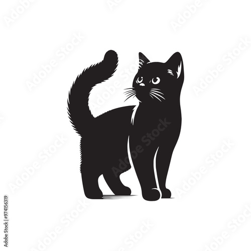 Stylish cat silhouette for creative design work - Cat black vector
