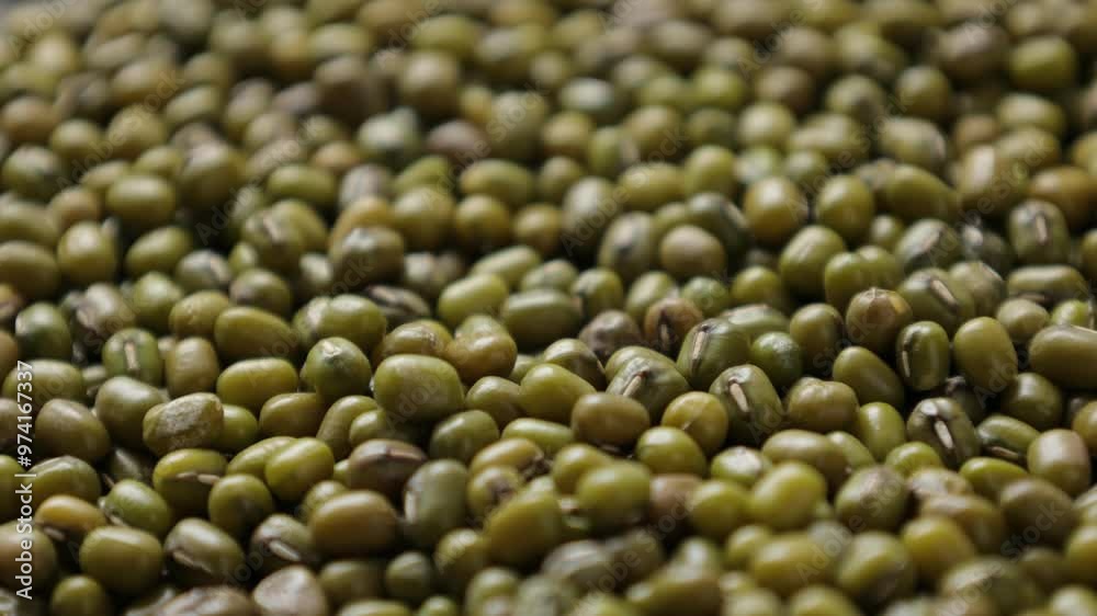 beans background, closeup of mung beans seeds beans background, closeup of mung beans seeds