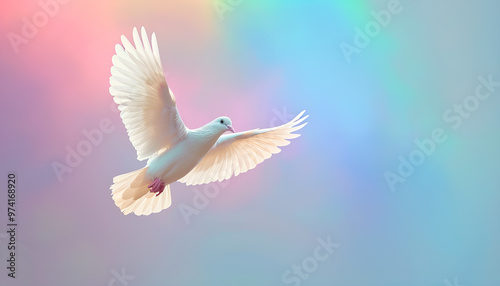 Wallpaper Mural White dove flying with open wings in front of rainbow and sunlight. Symbol of love, peace, hope and freedom Torontodigital.ca