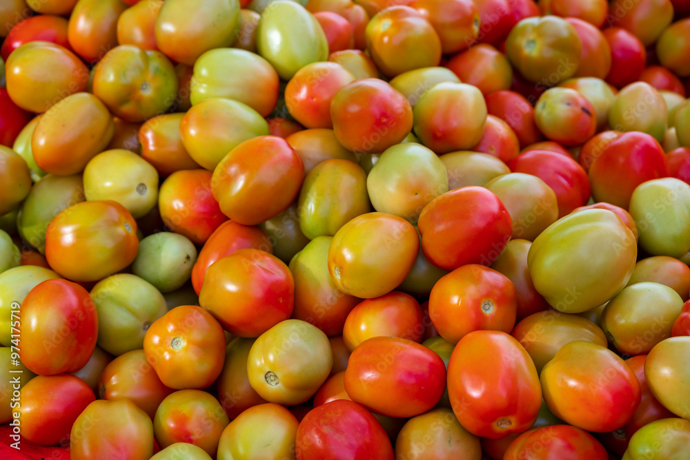 Fresh ripe tomatoes sold in a supermarket. Fresh red tomatoes, Red tomatoes background Fresh ripe tomatoes sold in a supermarket. Fresh red tomatoes, Red tomatoes background