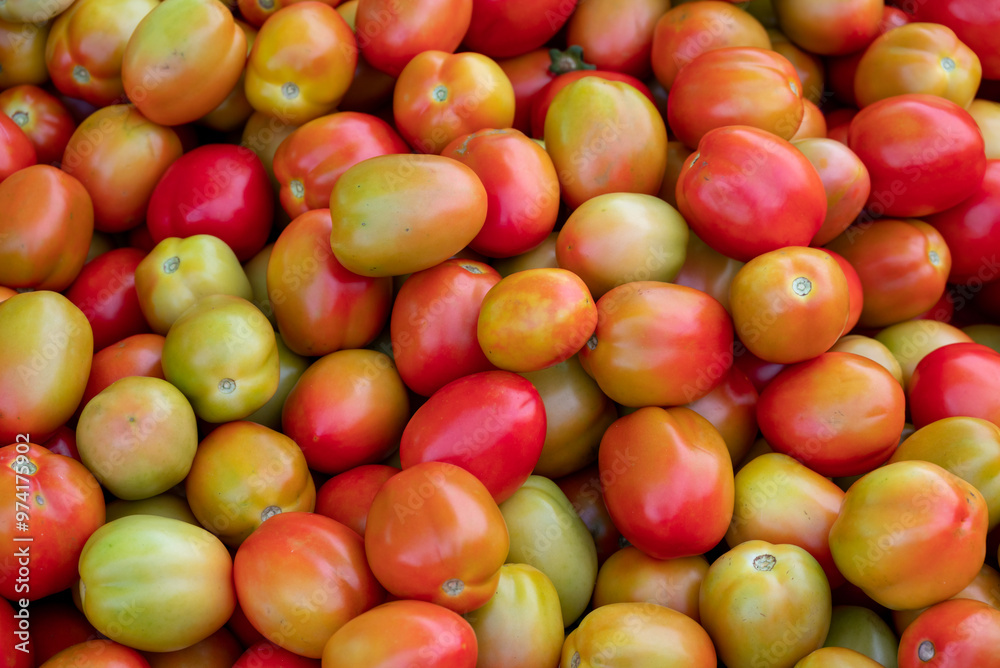 Fresh ripe tomatoes sold in a supermarket. Fresh red tomatoes, Red tomatoes background Fresh ripe tomatoes sold in a supermarket. Fresh red tomatoes, Red tomatoes background