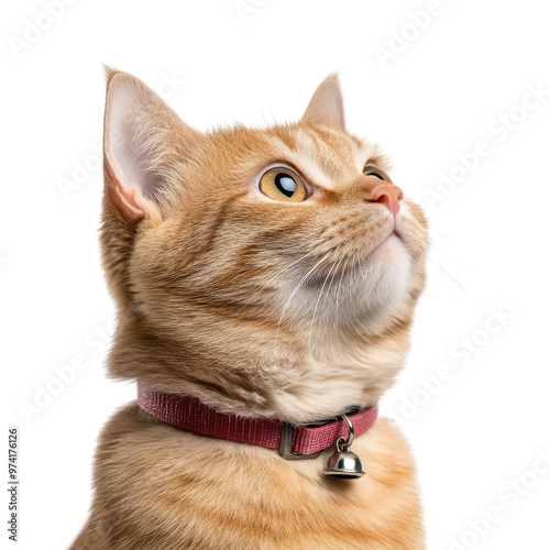 A stunning close-up portrait of an orange cat with bright eyes, expressing curiosity and charm against a soft background.