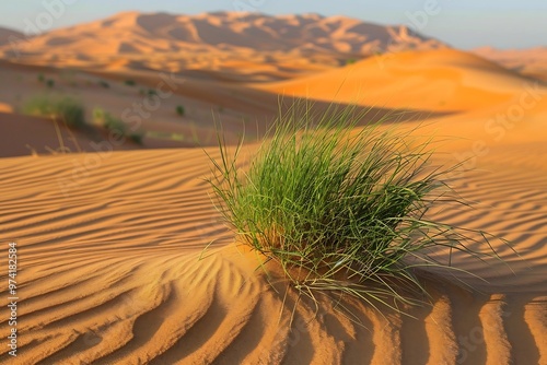 Desert landscape with green grass and blue sky