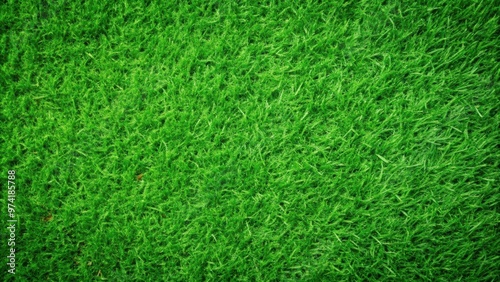 Wallpaper Mural Vibrant green grass texture perfect for nature backgrounds and designs Torontodigital.ca