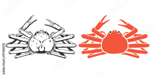 Snow crab Vector eps 10. background, perfect for wallpaper or design elements