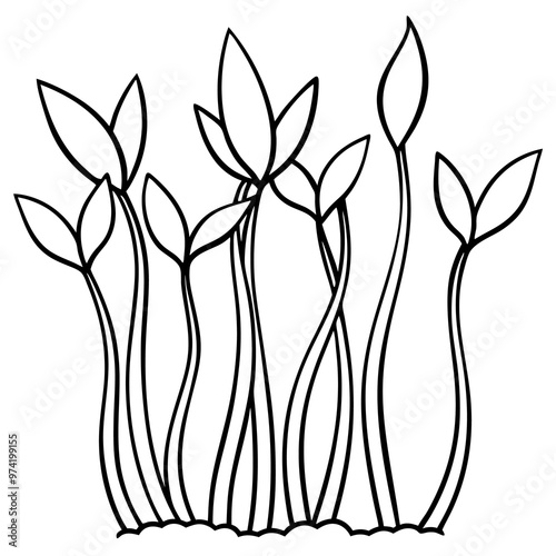 sprouted plants outline coloring book page line art drawing