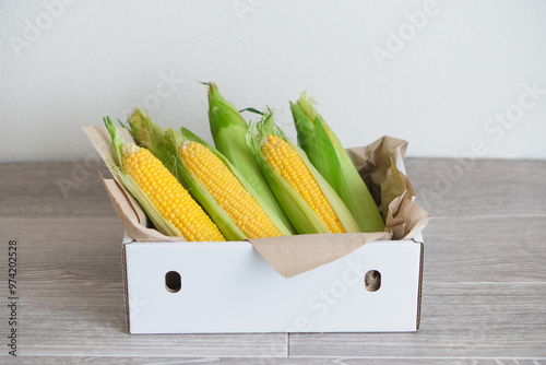 とうもろこし　ふるさと納税　返礼品